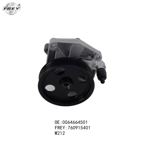 Bơm trợ lực lái xe Mercedes E300,E350 W212 - 0064664501