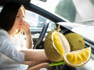 Cách khử mùi sầu riêng trên xe ô tô