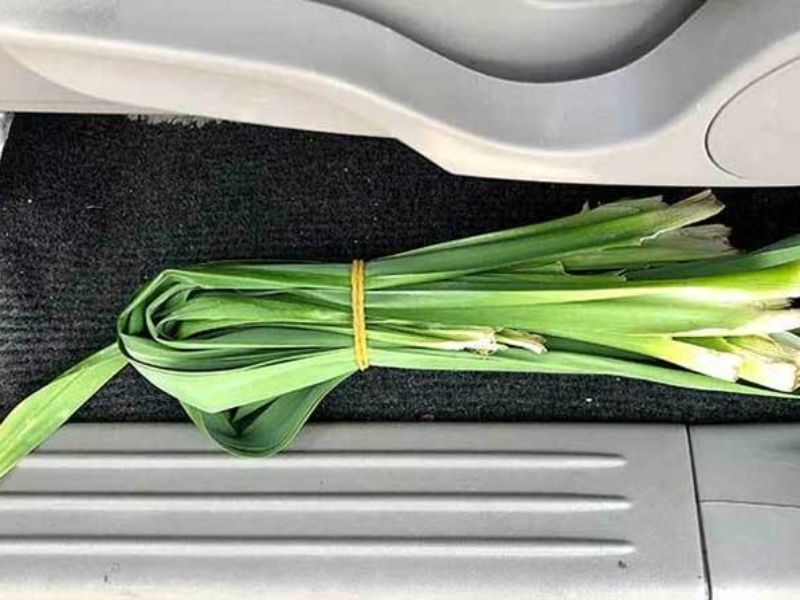 16+ cách khử mùi sầu riêng trên xe ô tô nhanh chóng, hiệu quả 2 Sử dụng lá dứa để khử mùi sầu riêng trong xe