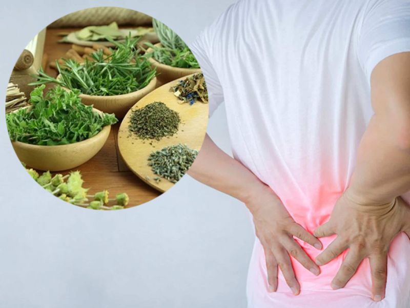 15+ mẹo chống đau lưng khi lái xe ô tô đường dài hiệu quả 10 Tham khảo các mẹo dân gian có thể giúp giảm đau lưng