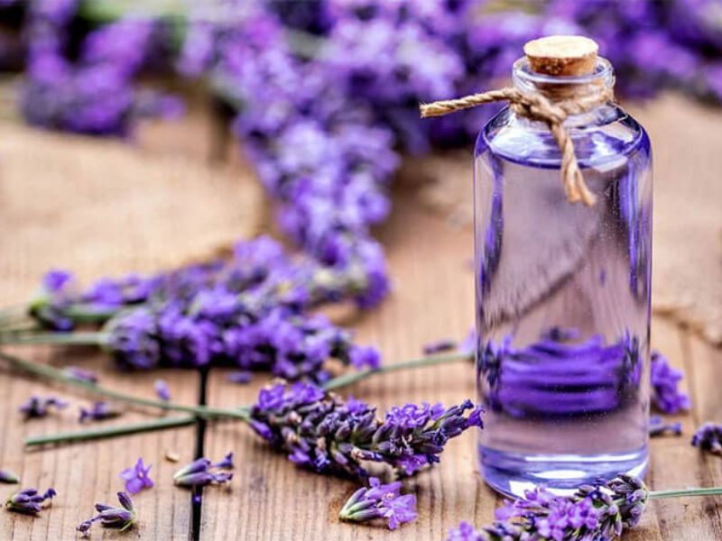 4+ cách sử dụng lọ treo tinh dầu trên ô tô hiệu quả, siêu tiết kiệm 5 Tinh dầu oải hương mang hương thơm dịu nhẹ, giúp thư giãn tinh thần