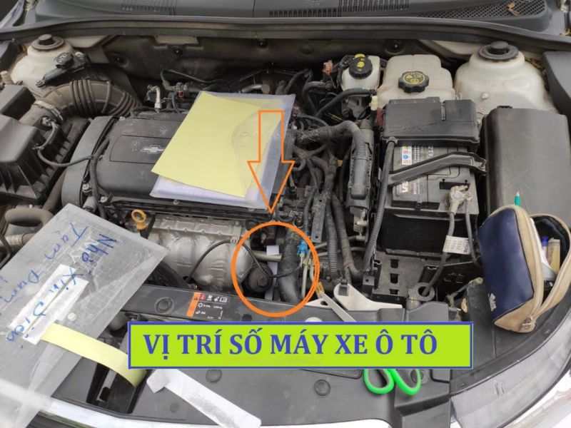 Cách xác định vị trí số khung số máy xe ô tô chính xác, dễ hiểu 2 Vị trí số máy ở xe ô tô