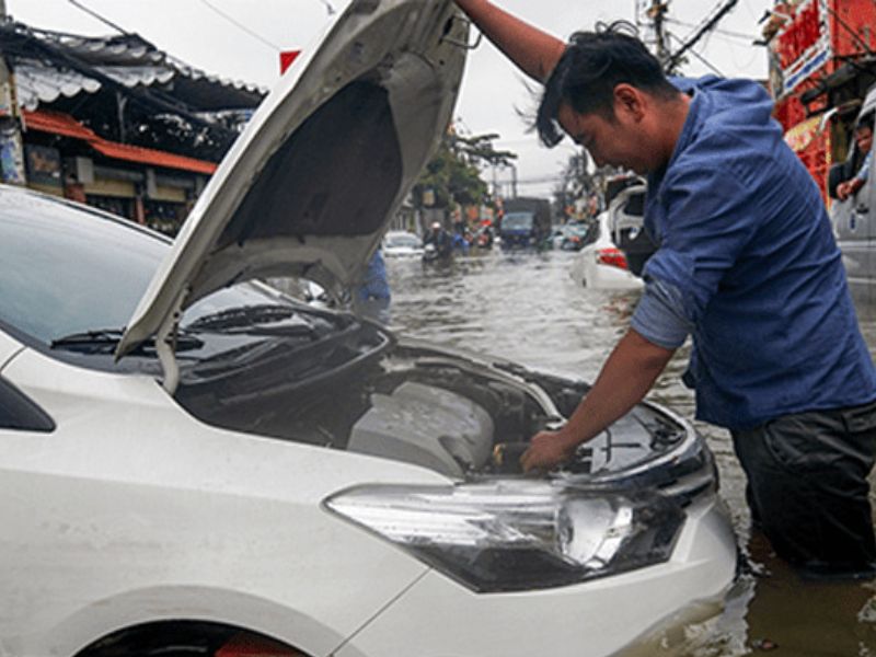 Ảnh hưởng hệ thống điện và điện tử