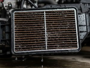 Lọc gió ô tô bị ướt