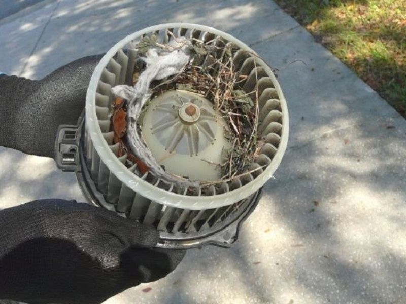 Cách khắc phục quạt gió điều hòa ô tô kêu to