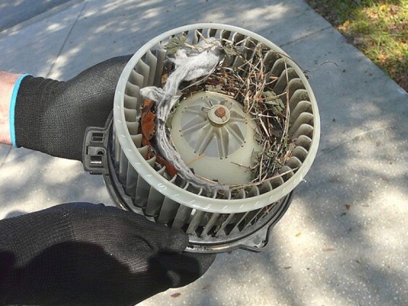 Motor quạt gió bị hỏng