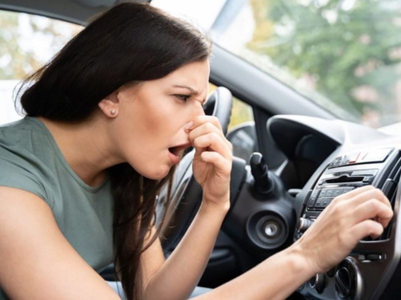 Mùi trung bình (mùi mốc rõ, kéo dài)