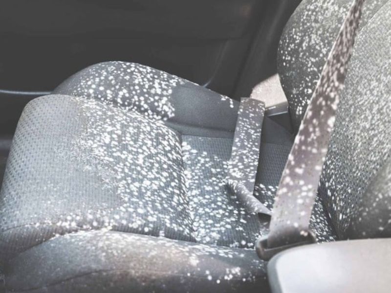 Nội thất ẩm mốc, mùi lạ